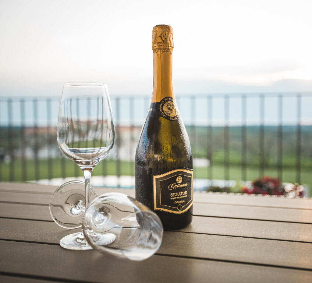 Zwei Übernachtungen mit Besuch des Weinguts Cattunar